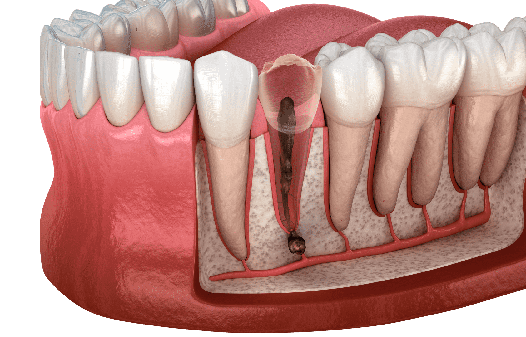 Огляд ротової порожнини