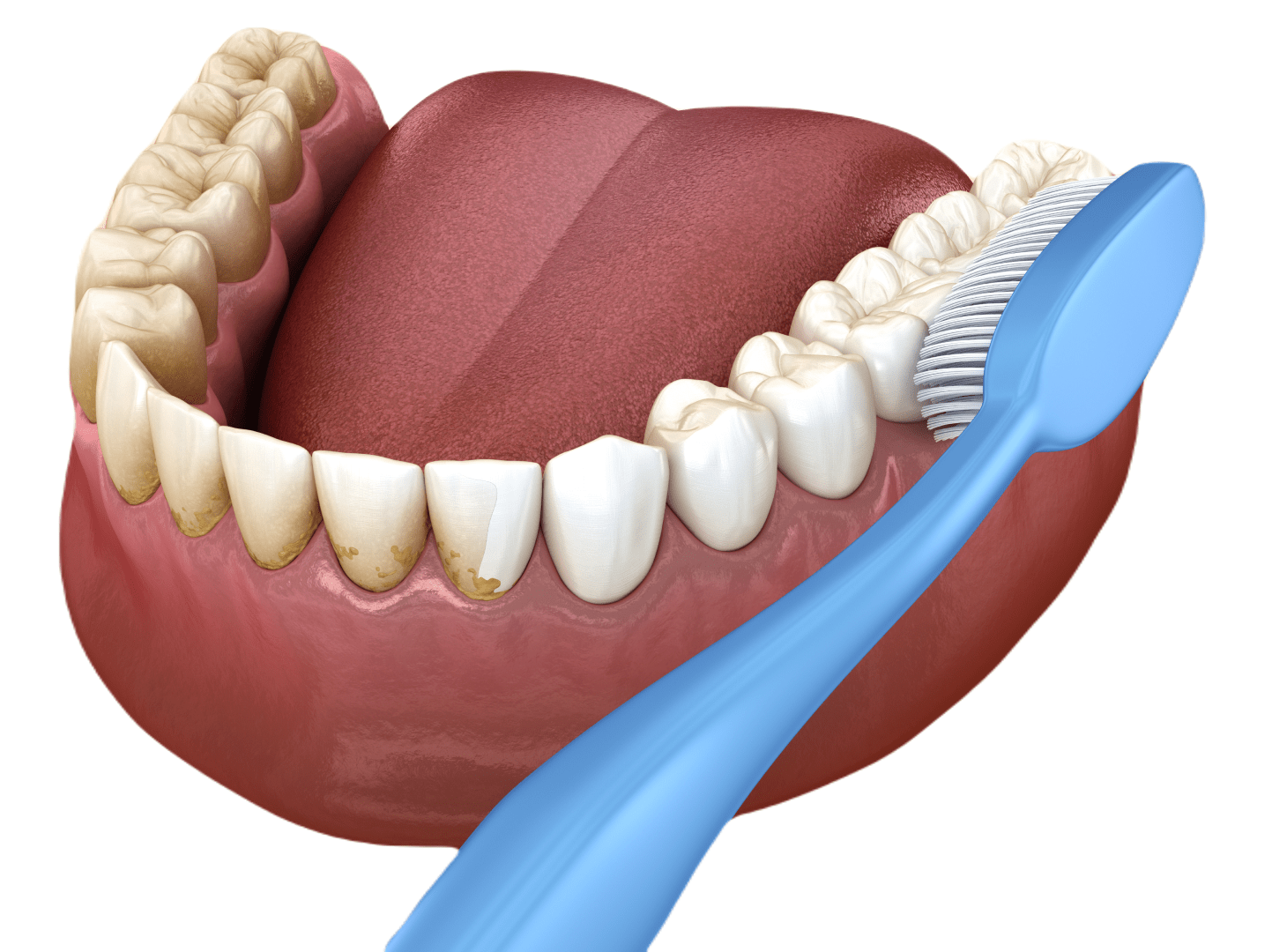 Правильне чищення зубів